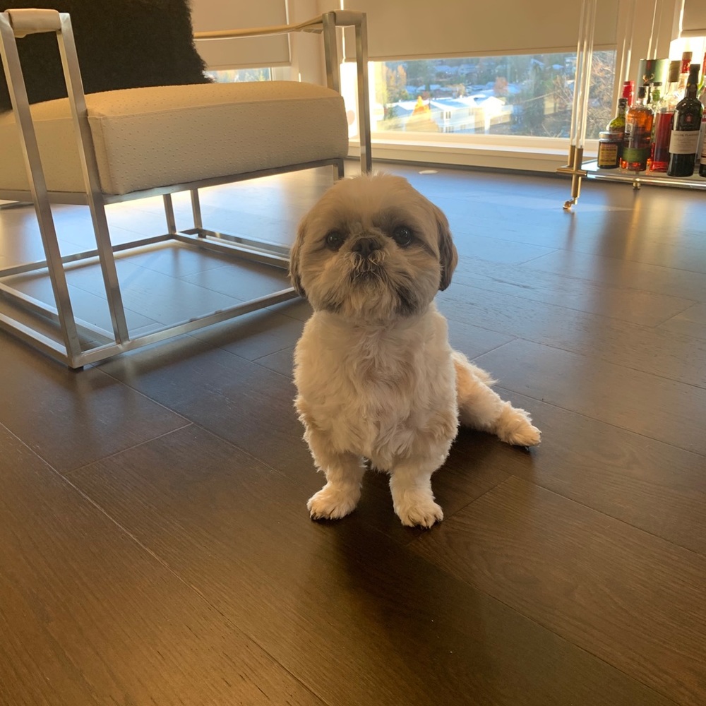 Meet your Posher, Div